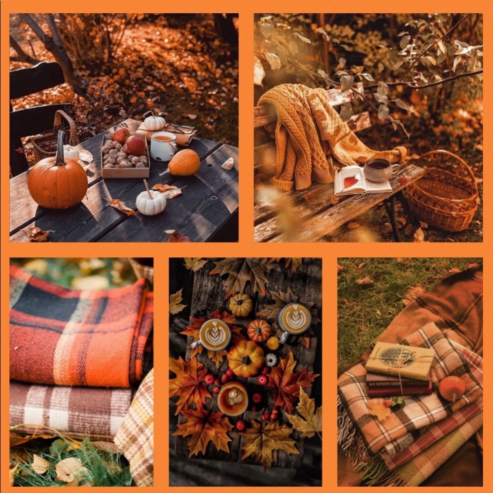 Pottery Barn Leaf Platter 🍁🍂 - Picture 15 of 16